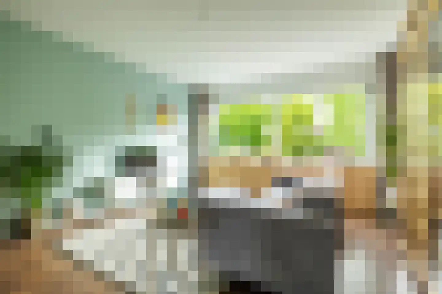 Multatulilaan 38 Haren Gn thumbnail 25