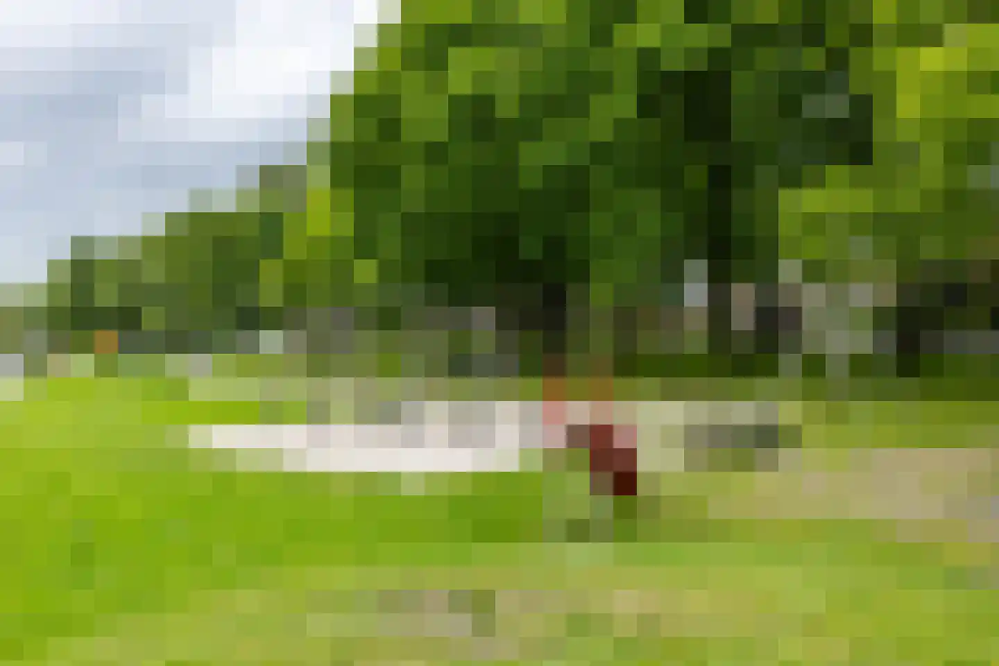 Multatulilaan 38 Haren Gn thumbnail 51