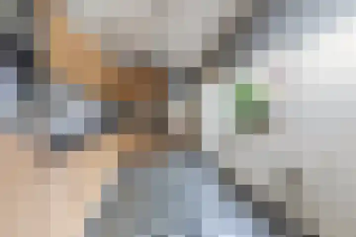 Multatulilaan 64 Hilversum thumbnail 18