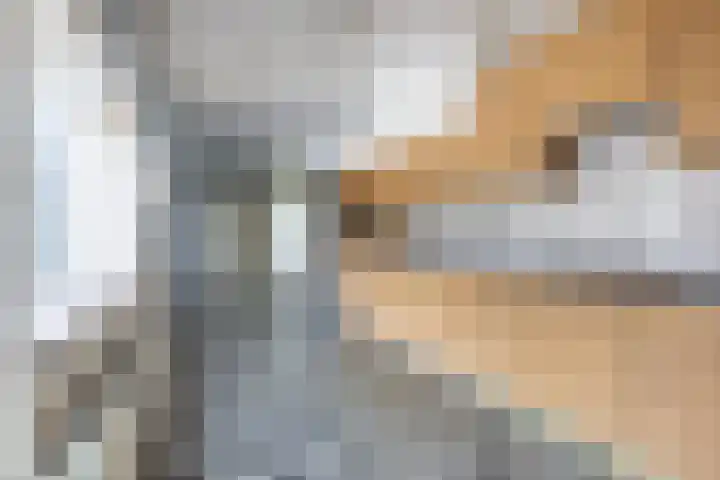 Multatulilaan 64 Hilversum thumbnail 20