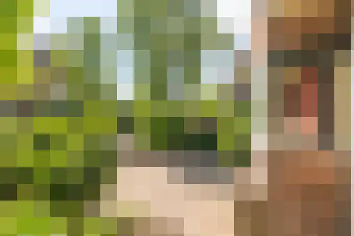 Multatulilaan 64 Hilversum thumbnail 50