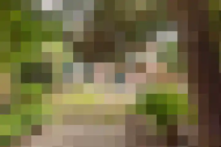 Multatulilaan 64 Hilversum thumbnail 57