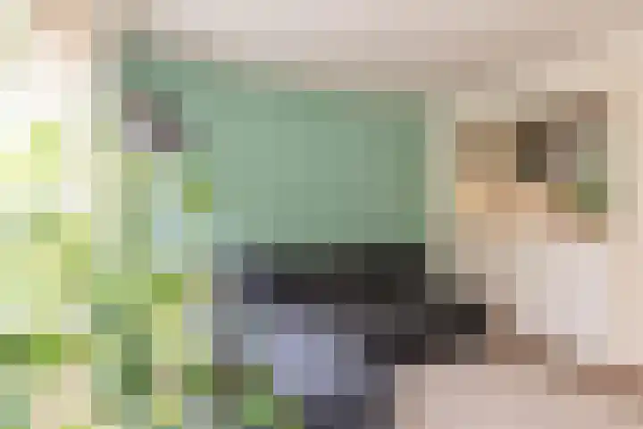 Multatulilaan 67 Hilversum thumbnail 20