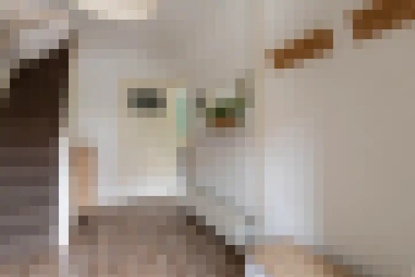Multatulilaan 67 Hilversum thumbnail 5