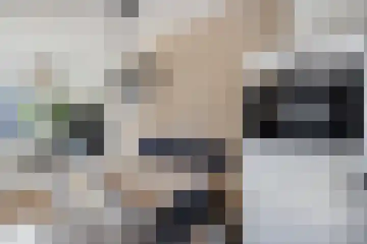 Multatulipad 20 Oud-Beijerland thumbnail 19