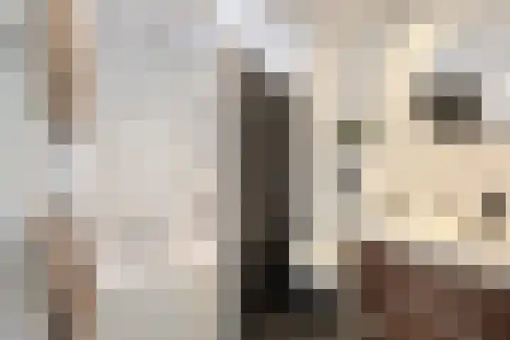 Multatulipad 20 Oud-Beijerland thumbnail 27