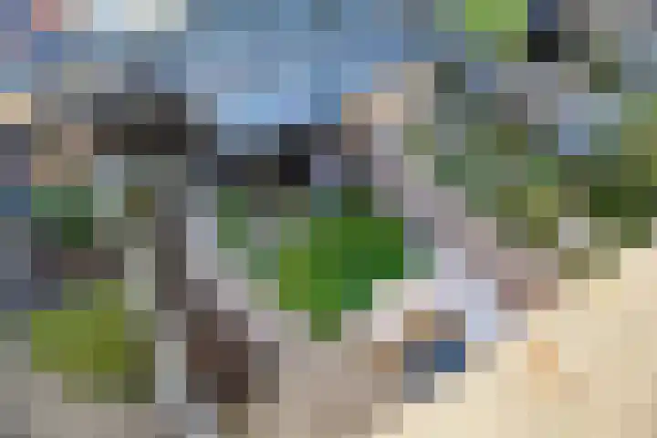 Multatulipad 20 Oud-Beijerland thumbnail 4