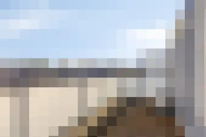 Multatulipad 20 Oud-Beijerland thumbnail 41