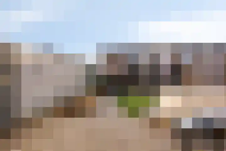 Multatulipad 20 Oud-Beijerland thumbnail 43