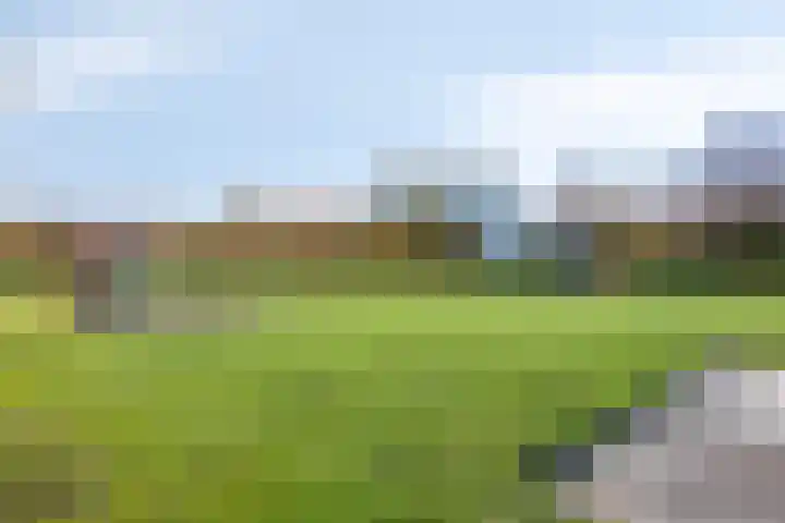 Multatulipad 20 Oud-Beijerland thumbnail 48