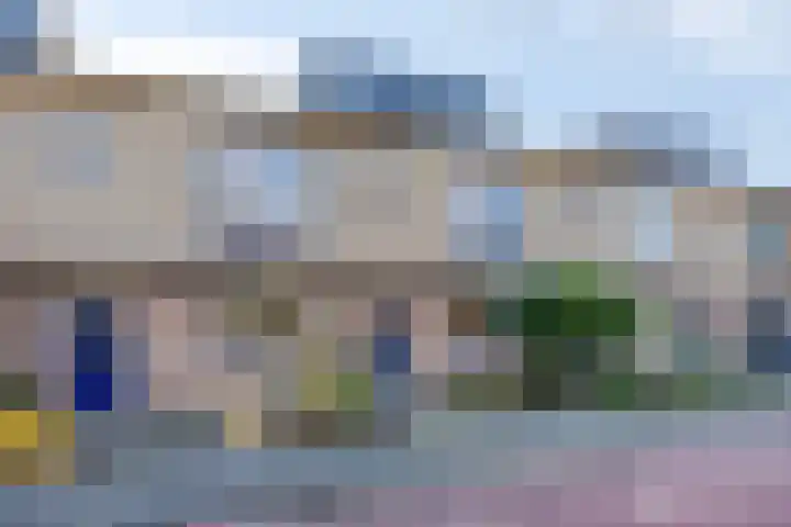 Multatulipad 20 Oud-Beijerland thumbnail 5