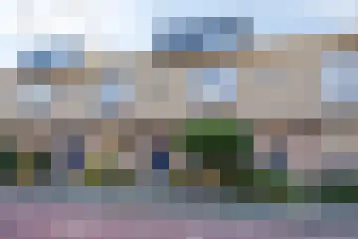 Multatulipad 20 Oud-Beijerland thumbnail 6