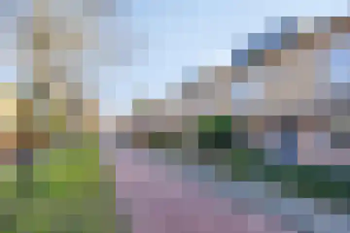 Multatulipad 20 Oud-Beijerland thumbnail 7
