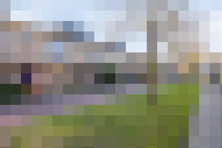 Multatulipad 20 Oud-Beijerland thumbnail 8