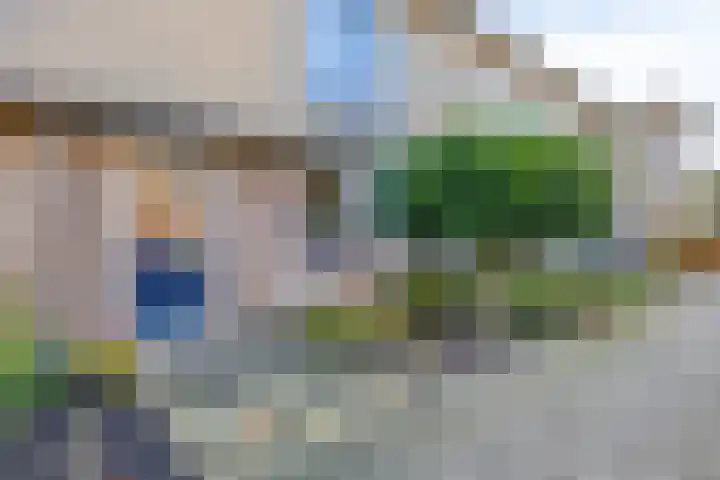 Multatulipad 20 Oud-Beijerland thumbnail 9