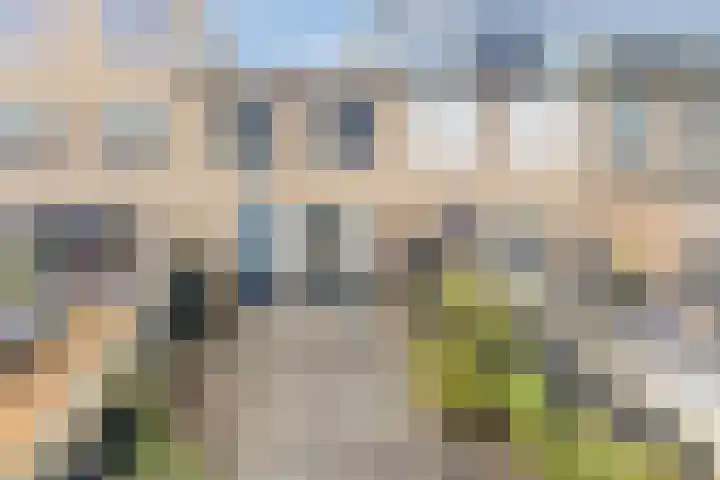 Multatulipad 23 Oud-Beijerland thumbnail 20
