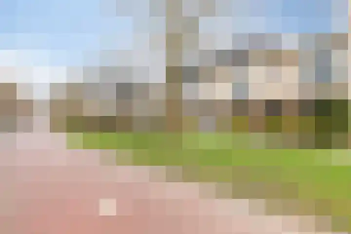 Multatulipad 23 Oud-Beijerland thumbnail 24