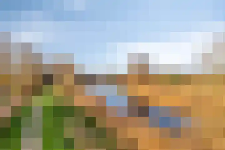 Multatulipad 23 Oud-Beijerland thumbnail 25