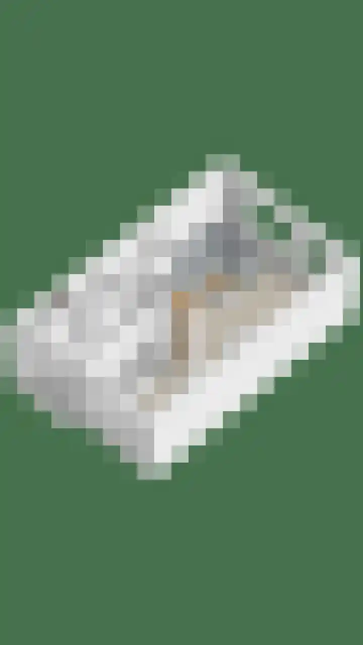 Multatulipad 23 Oud-Beijerland thumbnail 30