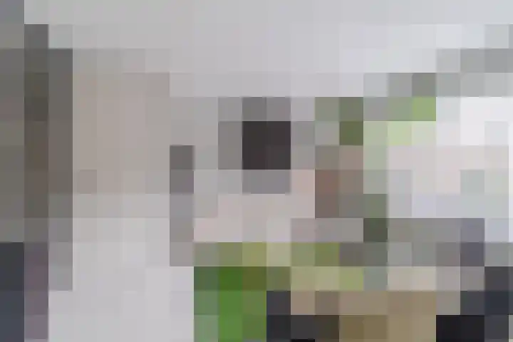 Multatulipad 32 Oud-Beijerland thumbnail 10