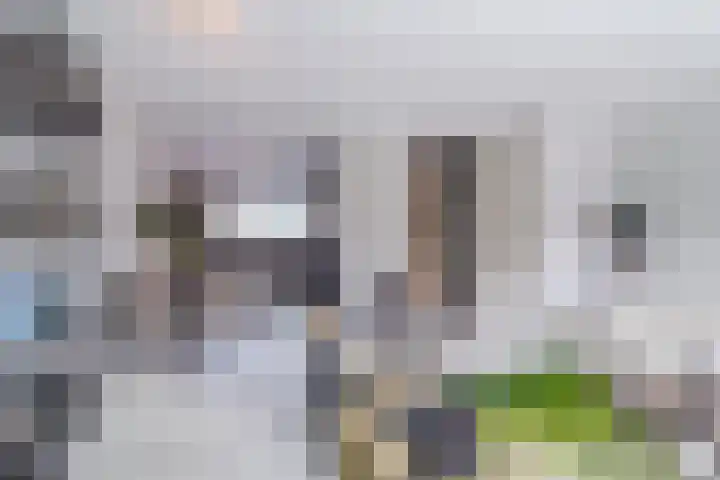 Multatulipad 32 Oud-Beijerland thumbnail 11