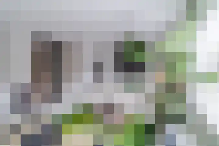 Multatulipad 32 Oud-Beijerland thumbnail 12