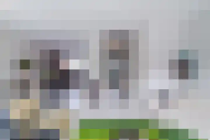 Multatulipad 32 Oud-Beijerland thumbnail 13
