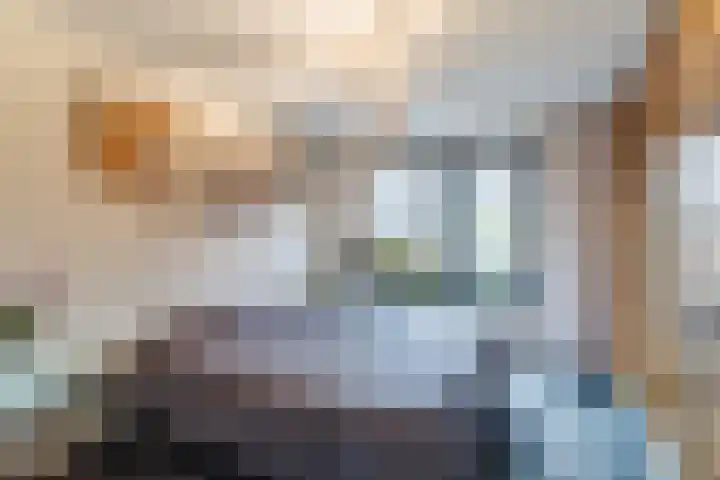 Multatulipad 32 Oud-Beijerland thumbnail 20
