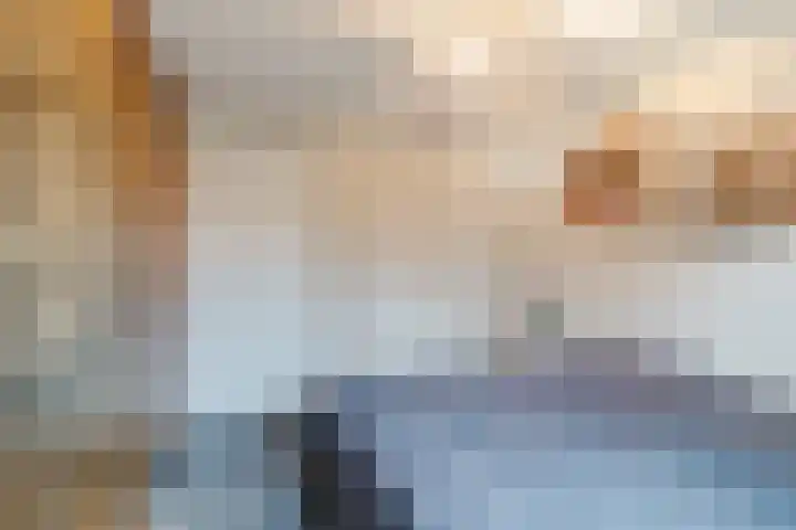 Multatulipad 32 Oud-Beijerland thumbnail 21