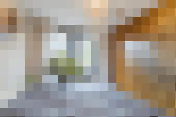 Multatulipad 32 Oud-Beijerland thumbnail 22