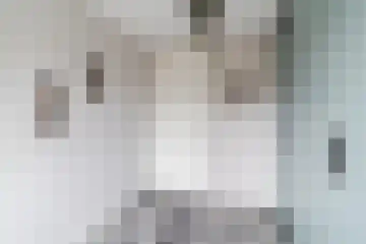 Multatulipad 32 Oud-Beijerland thumbnail 24