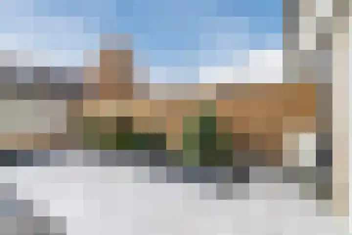Multatulipad 32 Oud-Beijerland thumbnail 34