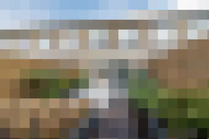 Multatulipad 32 Oud-Beijerland thumbnail 35