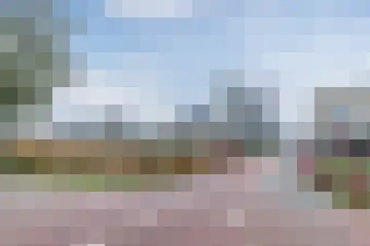 Multatulipad 32 Oud-Beijerland thumbnail 39