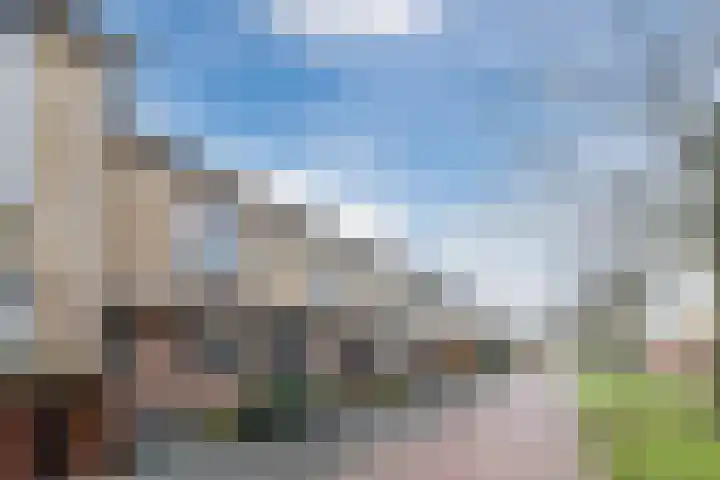 Multatulipad 32 Oud-Beijerland thumbnail 4