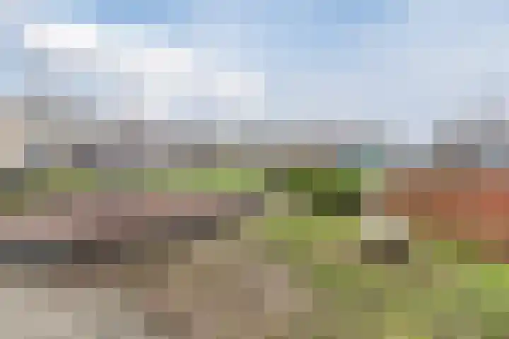 Multatulipad 32 Oud-Beijerland thumbnail 42
