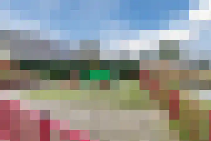 Multatulipad 32 Oud-Beijerland thumbnail 43