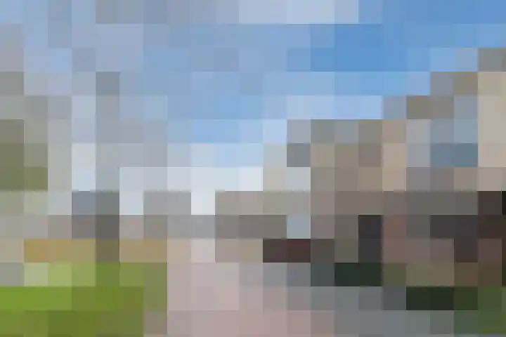 Multatulipad 32 Oud-Beijerland thumbnail 5
