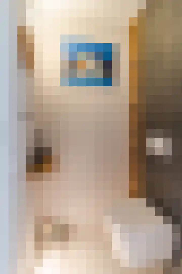 Multatulipad 32 Oud-Beijerland thumbnail 7