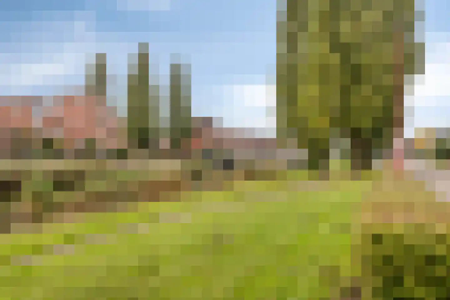 Multatulipad 77 Oud-Beijerland thumbnail 27