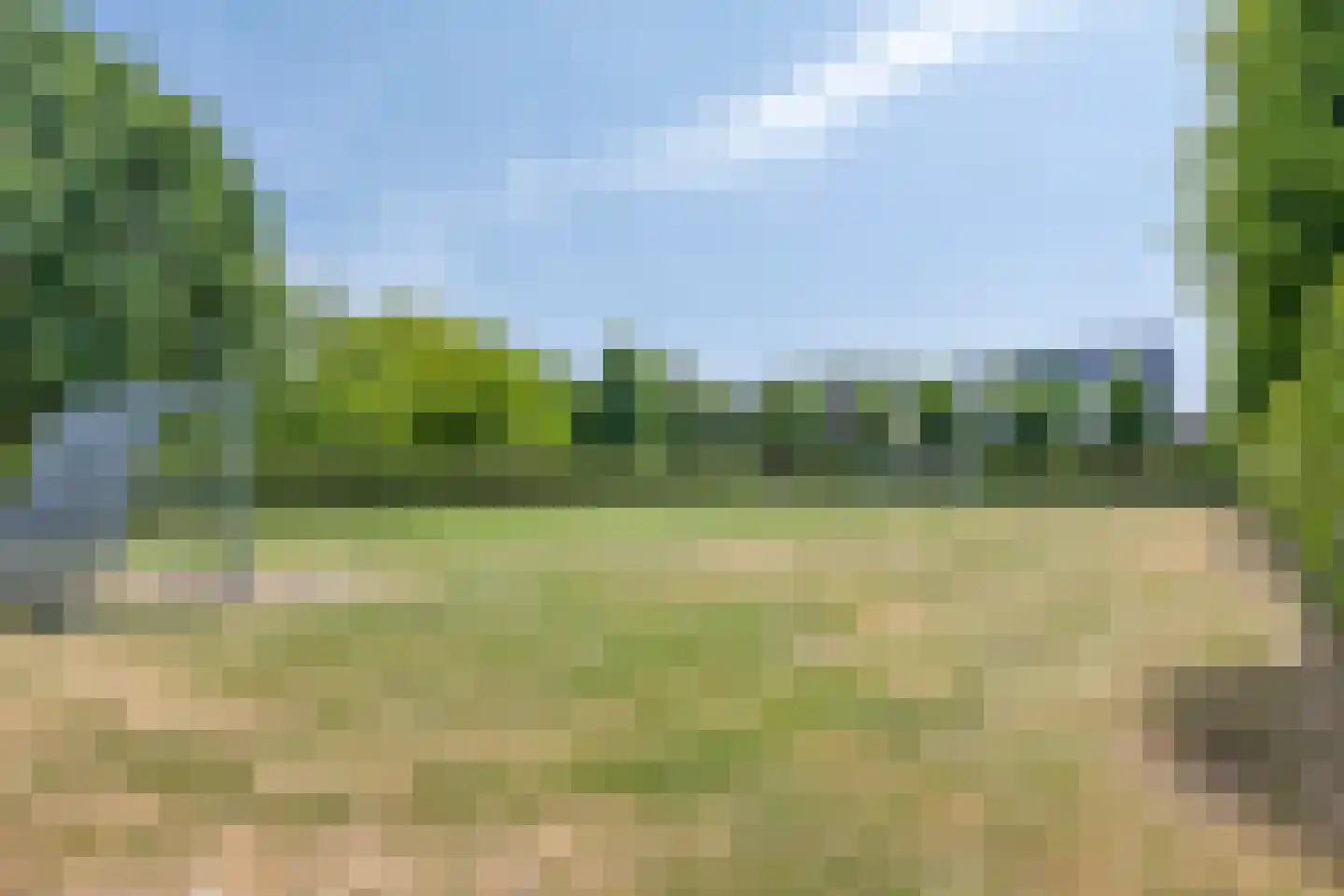 Multatulipad 89 Oud-Beijerland thumbnail 26