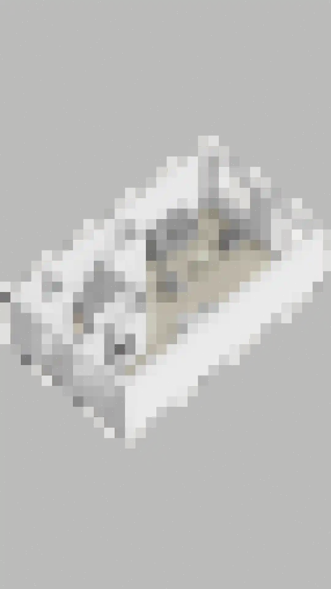 Multatulipad 89 Oud-Beijerland thumbnail 32