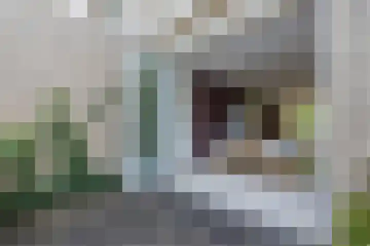Multatuliplantsoen 15 Hengelo thumbnail 15