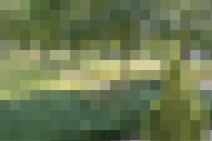 Multatuliplantsoen 15 Hengelo thumbnail 22
