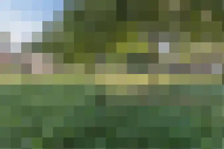 Multatuliplantsoen 15 Hengelo thumbnail 4