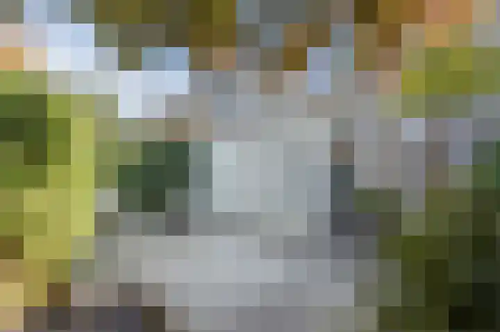 Multatuliplantsoen 15 Hengelo thumbnail 47