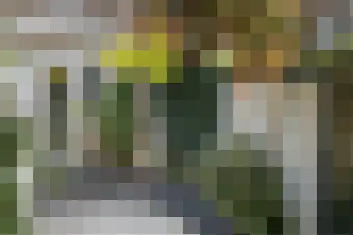 Multatuliplantsoen 15 Hengelo thumbnail 48