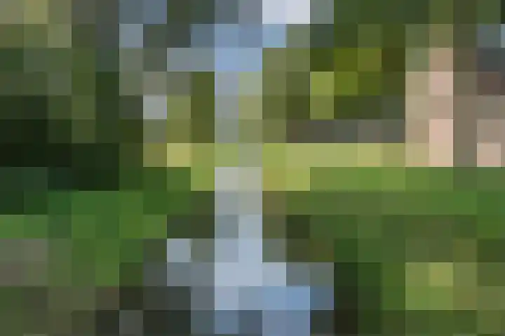 Multatuliplantsoen 15 Hengelo thumbnail 56