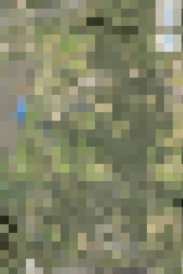 Multatuliplantsoen 15 Hengelo thumbnail 57
