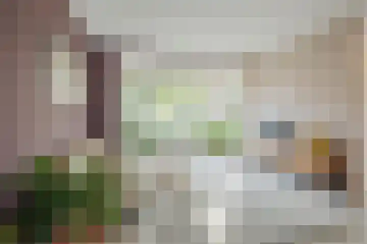 Multatuliplantsoen 15 Hengelo thumbnail 8